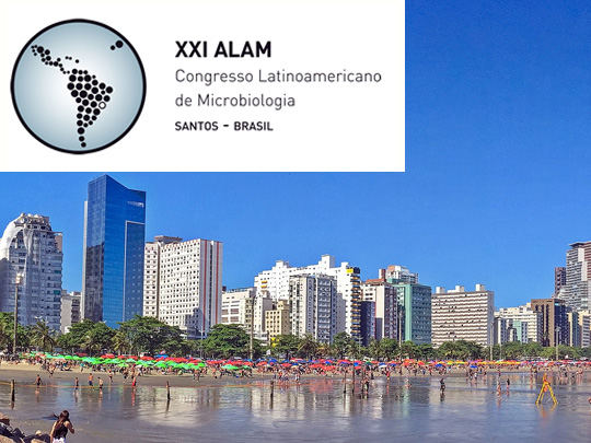 img-destacada-alam-2012.jpg